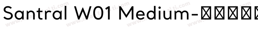Santral W01 Medium字体转换